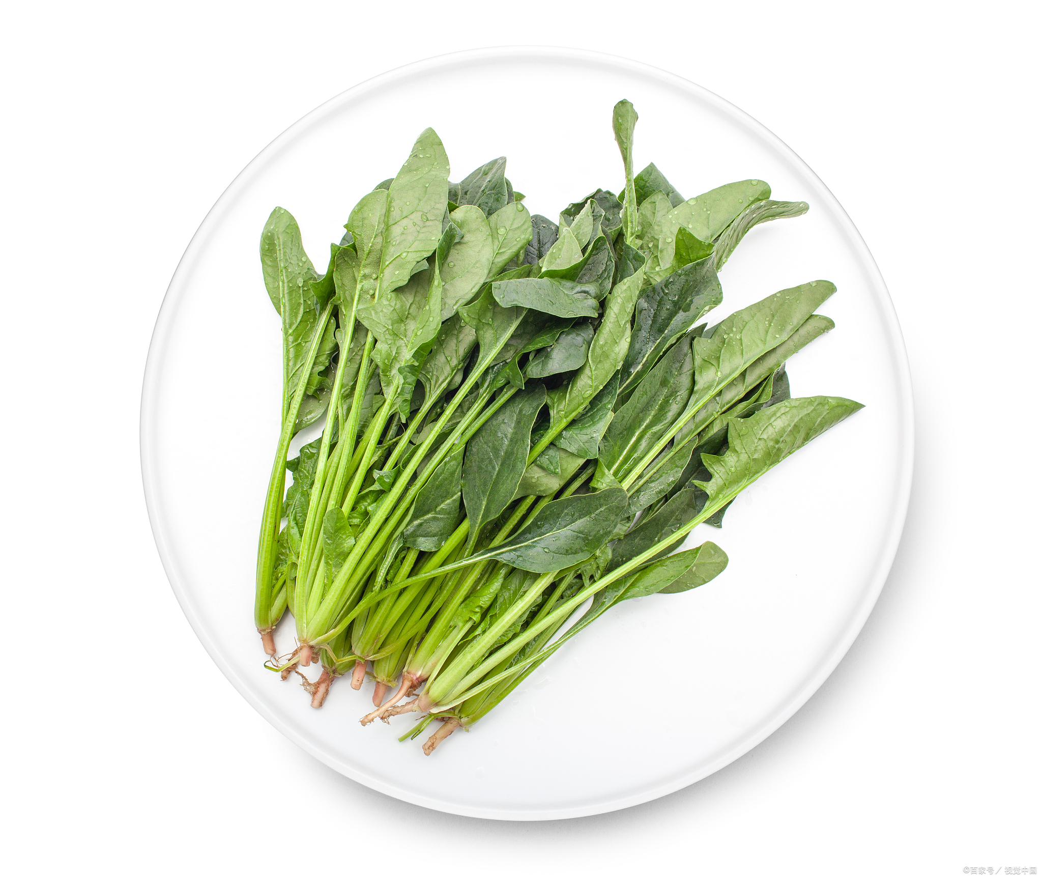 19种蔬菜价格5种领域，具体是哪五种？