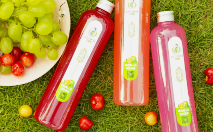 酵素的十大品牌