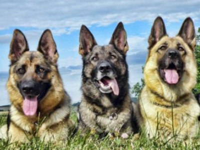 20个经典寓言故事?