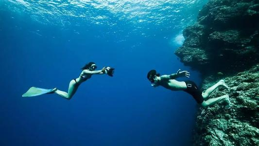 既然人人都向往自由，可为何又要有制度和规矩？