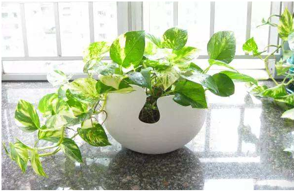 室内空气加湿的正确方法