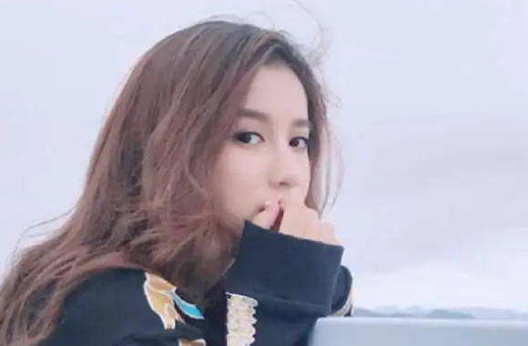 胡嘉欣演过什么电视