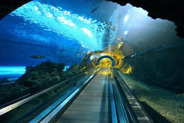 中国第一条海底隧道在哪里？
