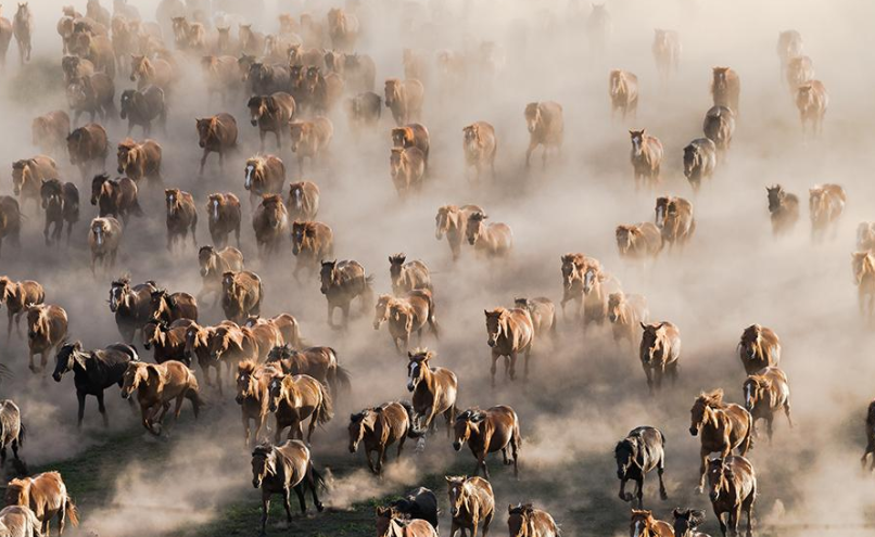 千千万万是什么意思？