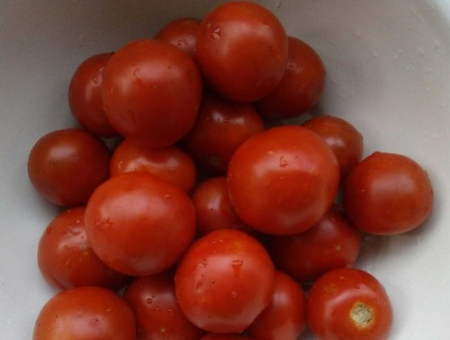 怎样熬制西红柿酱