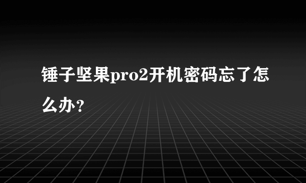 锤子坚果pro2开机密码忘了怎么办？