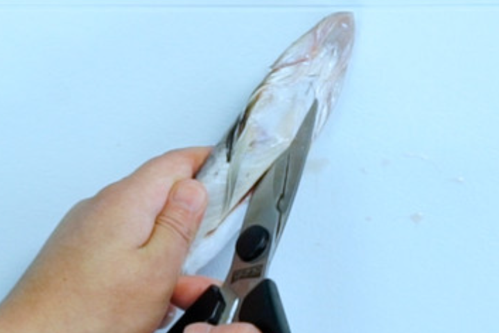 鱼做法大全家常菜