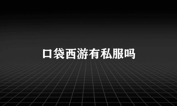 口袋西游有私服吗