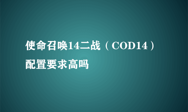 使命召唤14二战（COD14）配置要求高吗