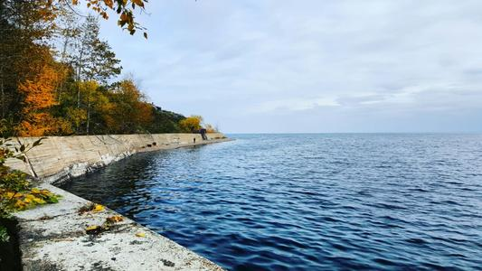 既然人人都向往自由，可为何又要有制度和规矩？