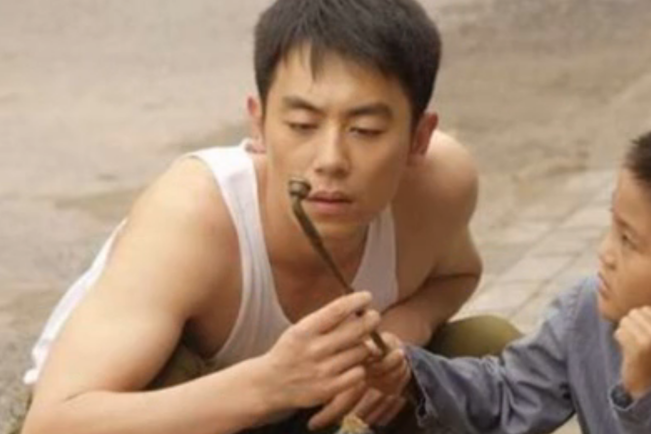 李成儒主演的电视剧