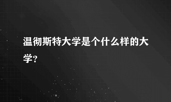 温彻斯特大学是个什么样的大学？
