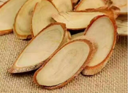 东革阿里的功效与作用是什么？