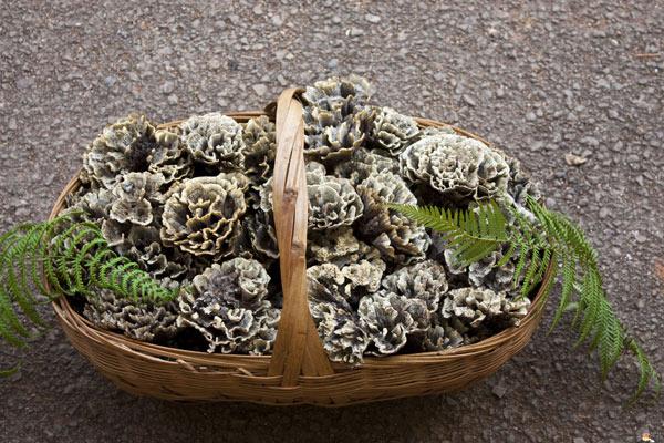 医院里的“变态反应科”，是看什么问题的？