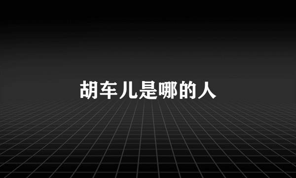 胡车儿是哪的人