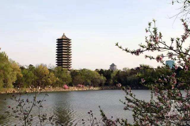 怎么看待湖南双胞胎分别被清北录取这件事?