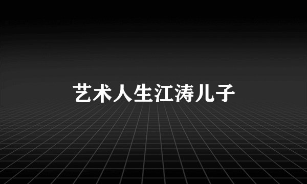 艺术人生江涛儿子