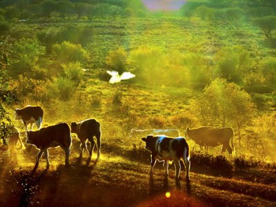 十一冷门旅游线路推荐