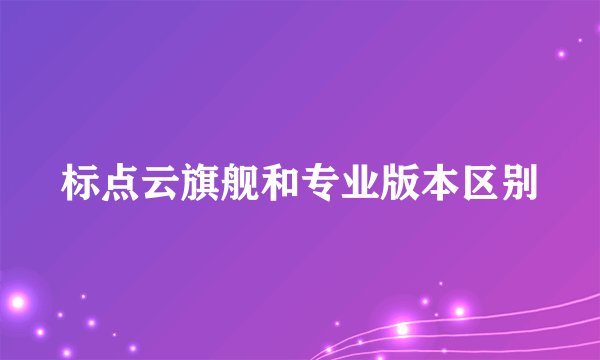 标点云旗舰和专业版本区别
