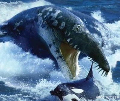 为什么史前动物都长这么大？是环境原因还是什么原因？