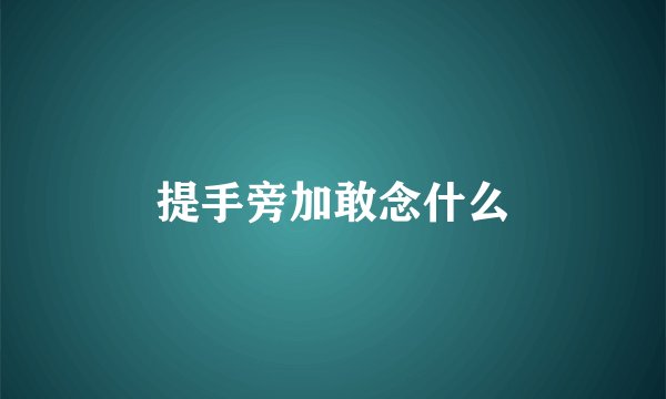 提手旁加敢念什么