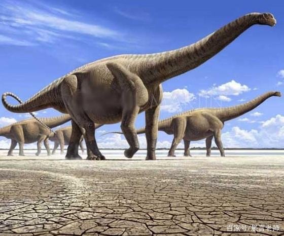 为什么史前动物都长这么大？是环境原因还是什么原因？