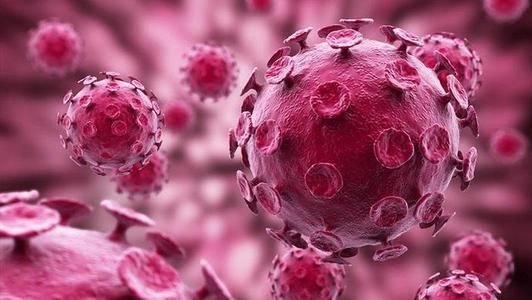 “西安出现多例出血热”顶上热搜，你了解这种传染病吗？