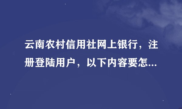 云南农村信用社网上银行，注册登陆用户，以下内容要怎么填写？（网银登陆名要输入什么，身份证号，手机号