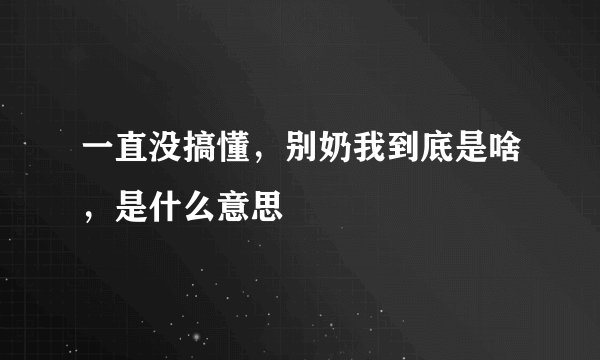 一直没搞懂，别奶我到底是啥，是什么意思