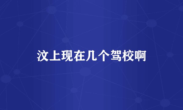 汶上现在几个驾校啊