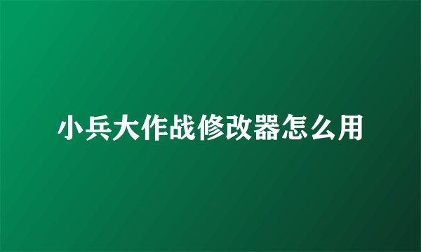 小兵大作战修改器怎么用