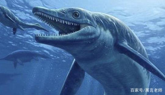 为什么史前动物都长这么大？是环境原因还是什么原因？