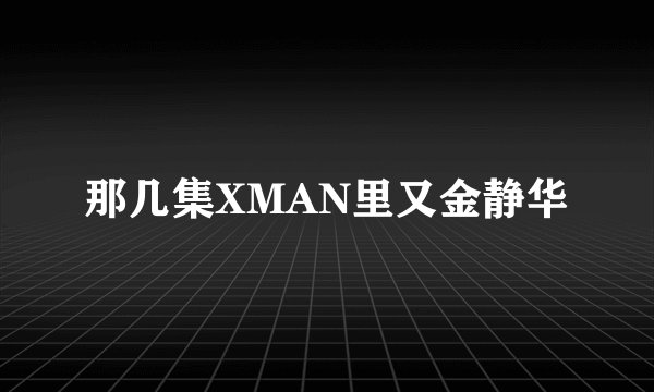 那几集XMAN里又金静华