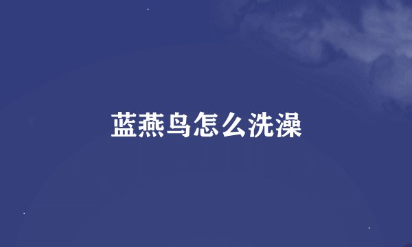 蓝燕鸟怎么洗澡