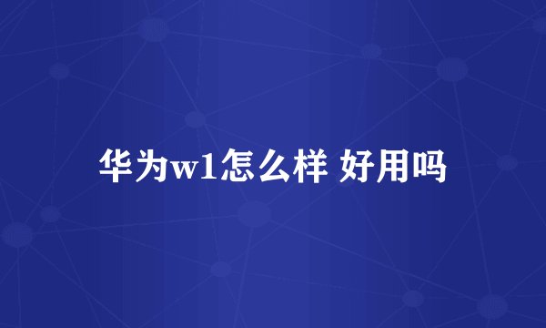 华为w1怎么样 好用吗