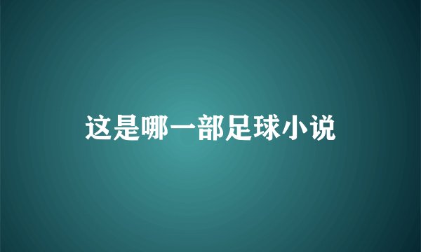这是哪一部足球小说