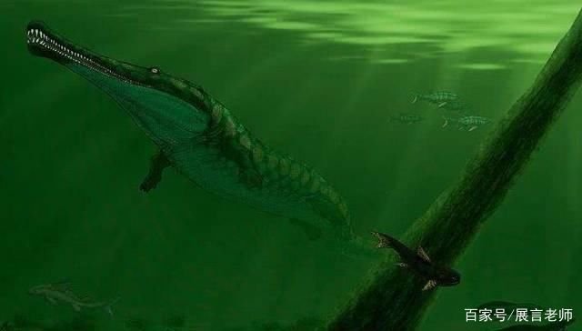 为什么史前动物都长这么大？是环境原因还是什么原因？