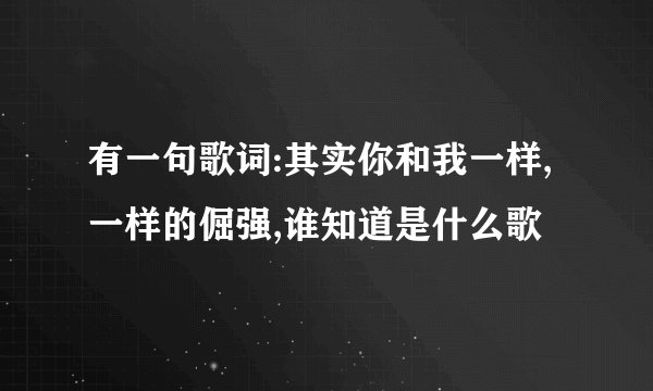 有一句歌词:其实你和我一样,一样的倔强,谁知道是什么歌