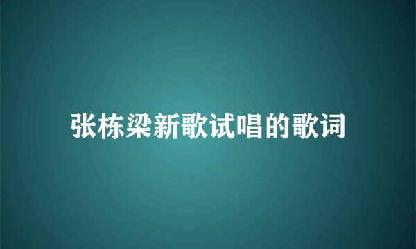 张栋梁新歌试唱的歌词