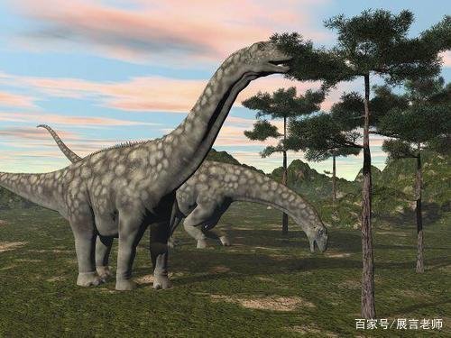 为什么史前动物都长这么大？是环境原因还是什么原因？