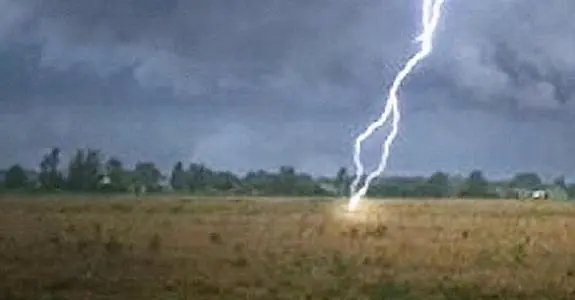 格鲁吉亚550只羊在吃草时被雷瞬间劈死，谁该为这些死去的羊负责？