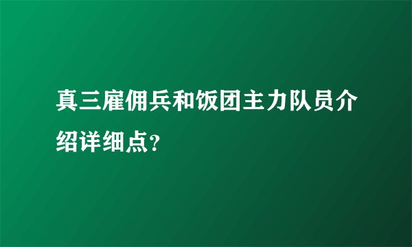 真三雇佣兵和饭团主力队员介绍详细点？