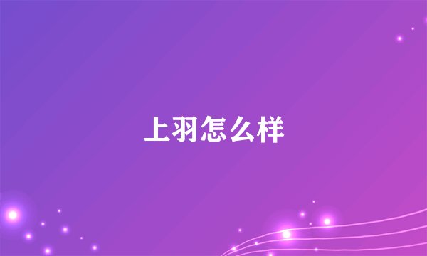 上羽怎么样