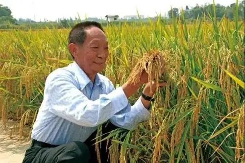 近日陈清如院士因病去世，2021年我痛失了多少位院士？