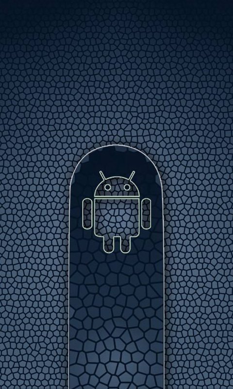 求类似这样的手机壁纸，分辨率480x800(黑白背景，亮色点缀，最好是蓝色） 谢谢