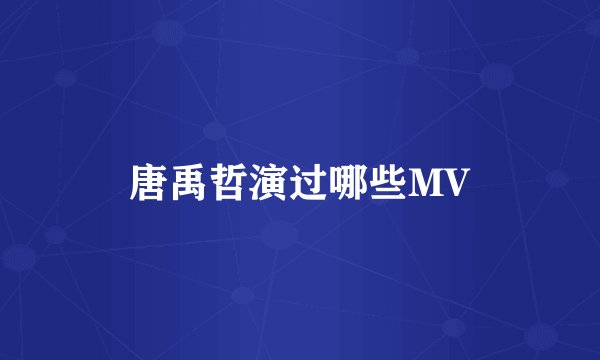 唐禹哲演过哪些MV