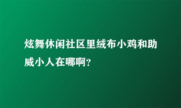炫舞休闲社区里绒布小鸡和助威小人在哪啊？
