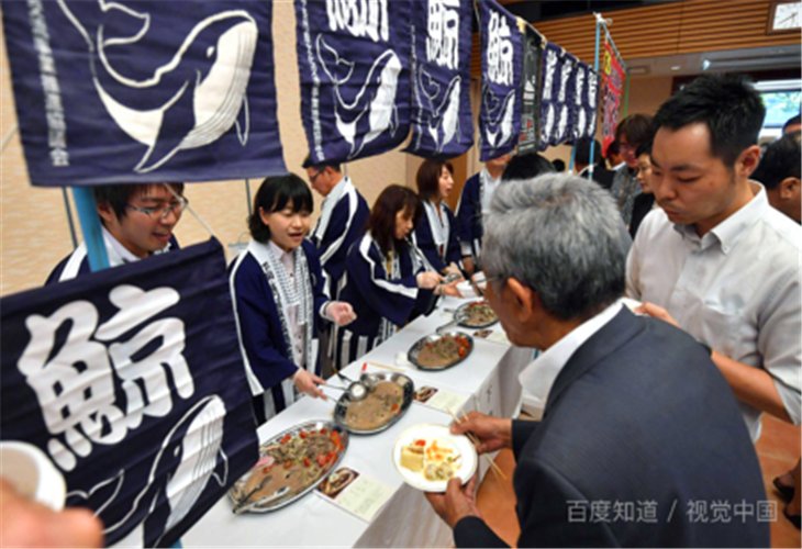 日本捕鲸团捕获1430吨鲸肉，是什么让他们大肆捕鲸？