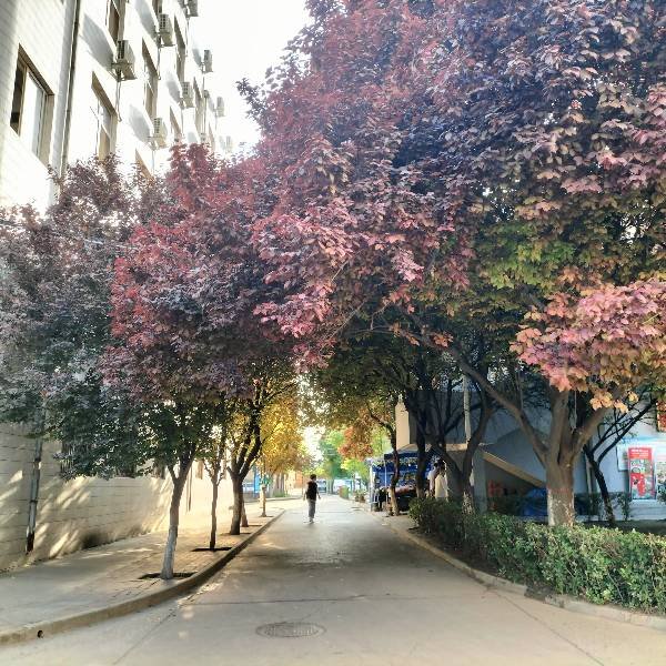 陕西邮电职业技术学院怎么样