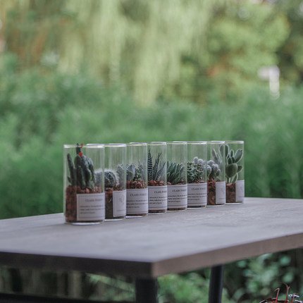 有什么很有创意的生日礼物